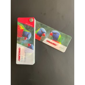 ORAGUARD 255AS - Gulvlaminat