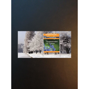 ORAJET 3161 GDT 137 cm (frostfolie) 